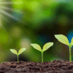 新入社員の成長速度は、あなどれない。プロジェクトの救世主になることもある